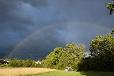 regenboog