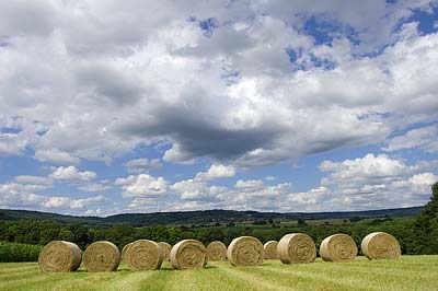 landschap