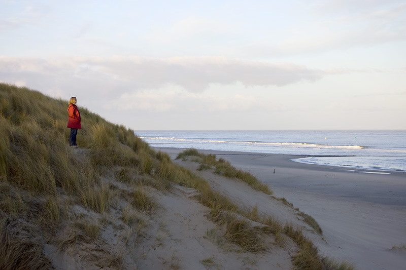 DSC_3891.jpg - Op het duin. De winterzon geeft mooi licht