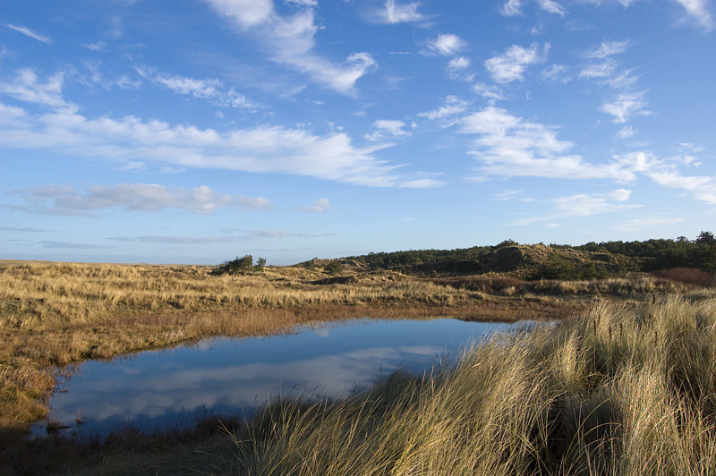 DSC_3901.jpg - Water in de duinen