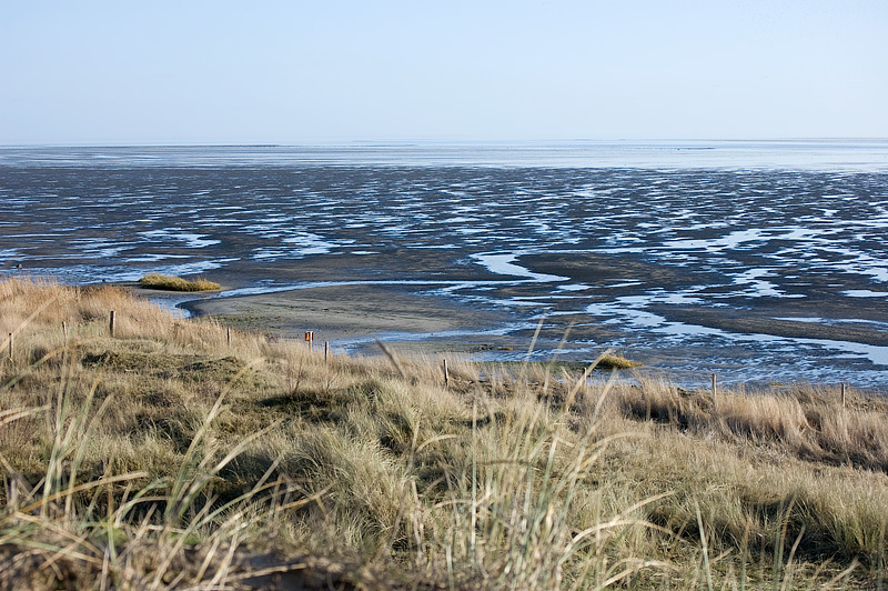 DSC_3925.jpg - Langzaam valt het droog