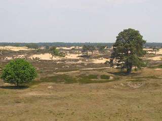 Pinksterkamp