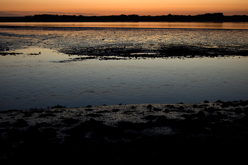 baai-03.jpg - 's Avonds, bij aflopend tij, ligt een groot deel van de baai droog