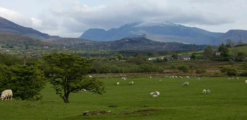 snowdon-13.jpg - Ook van beneden zie je heel af en toe een glimp van de besneeuwde top