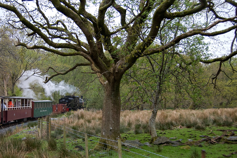 trein-04.jpg - We tuffen door een prachtig landschap