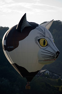 kat-ballon